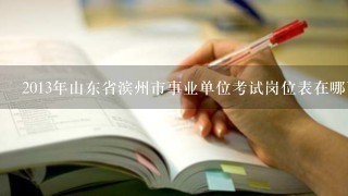 2013年山东省滨州市事业单位考试岗位表在哪下载？