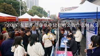 2020广东恩平市事业单位招聘公告什么时候公示？