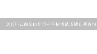 2012年云南文山州事业单位考试成绩在哪查询？