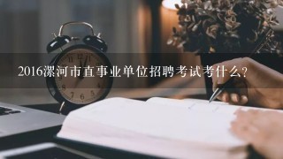 2016漯河市直事业单位招聘考试考什么？