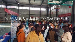 2013年湖北省南水北调事业单位招聘结果